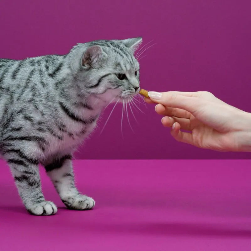 Whiskas Temptations Delicious Treats For Cats