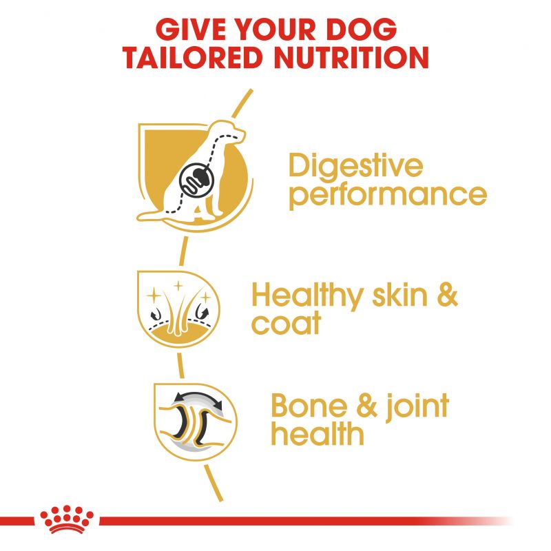 Royal Canin Dog Food | Adult - German Shepherd