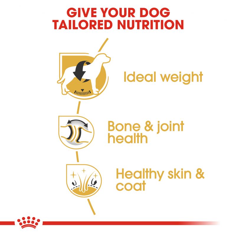 Royal Canin Dog Food | Adult - Labrador Retriever