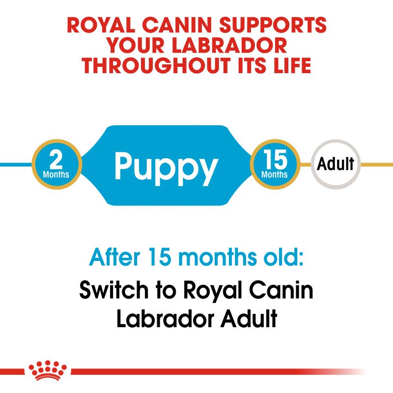 Royal Canin Dog Food | Puppy - Labrador Retriever