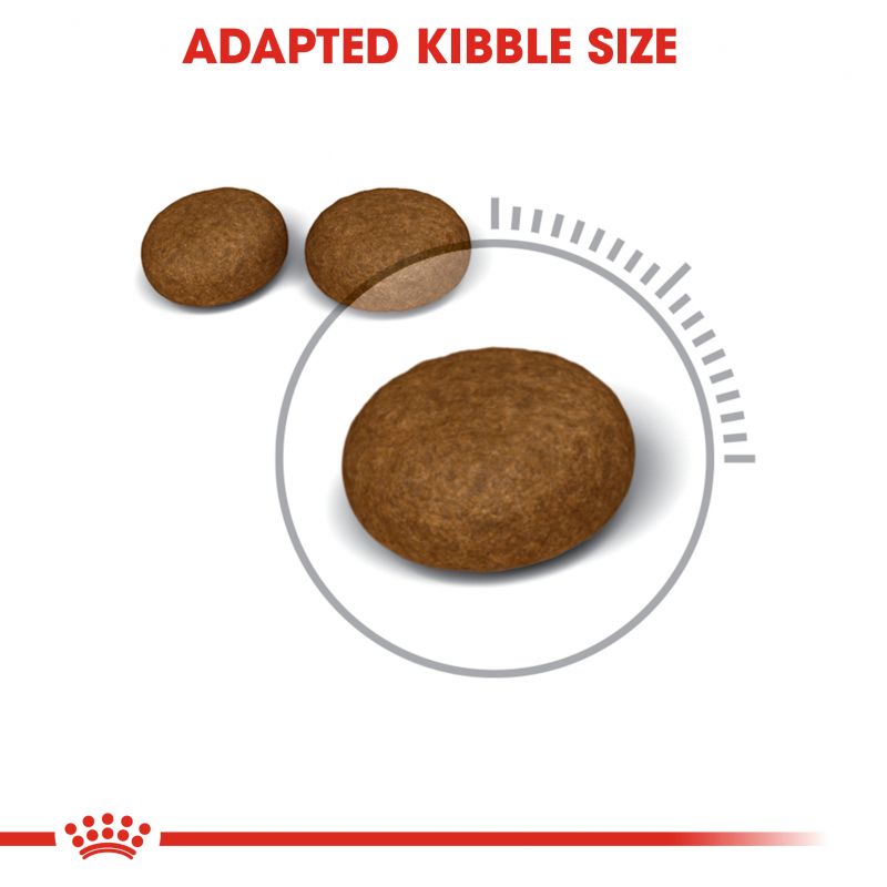 Royal Canin Cat food | Hair & Skin Care