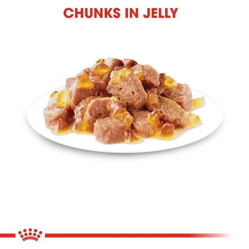 Royal Canin Cat Jelly | Instinctive 85g