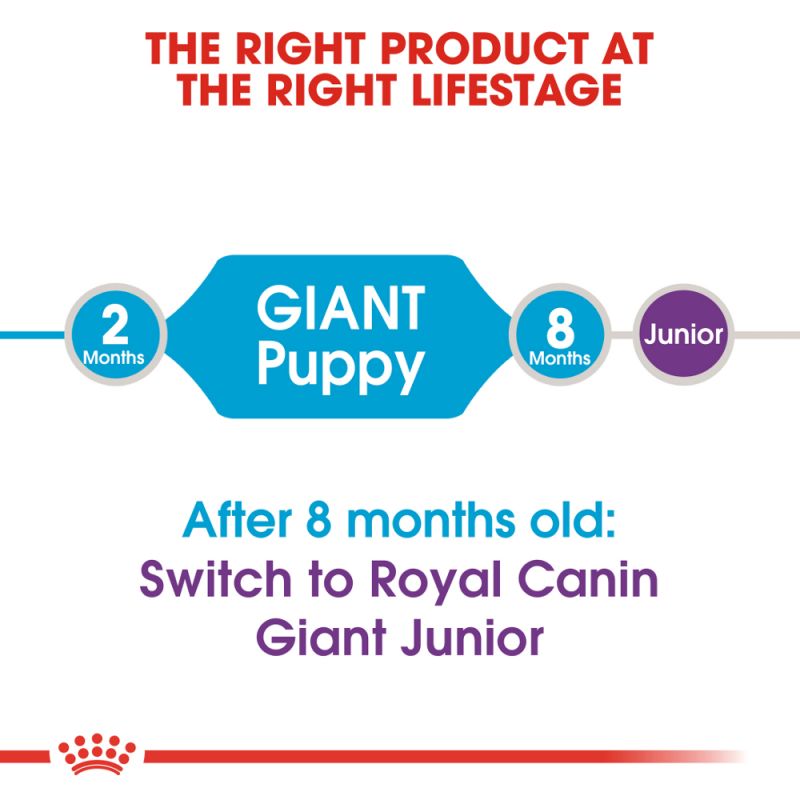 Royal Canin Dog Food | Giant Puppy