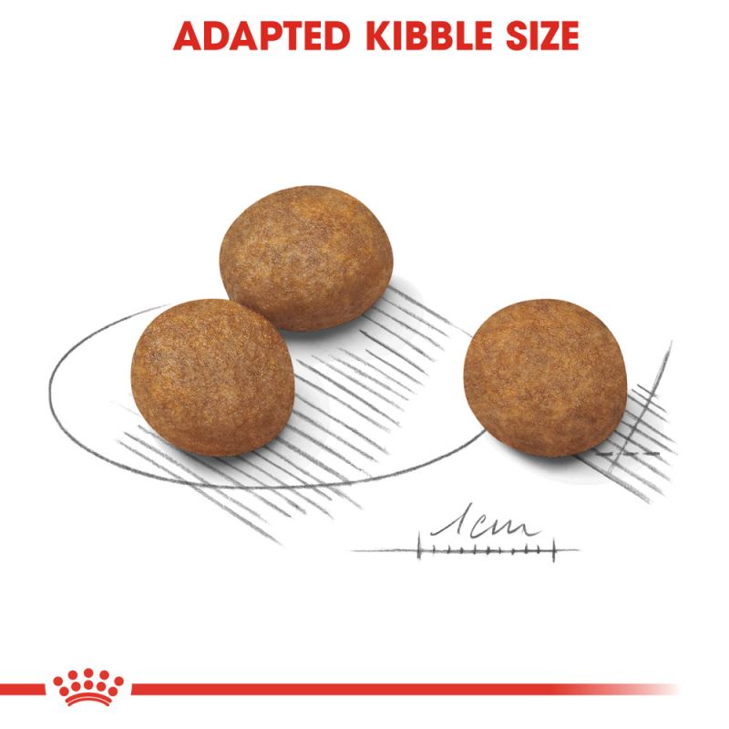 Royal Canin Dog Food | Maxi Puppy