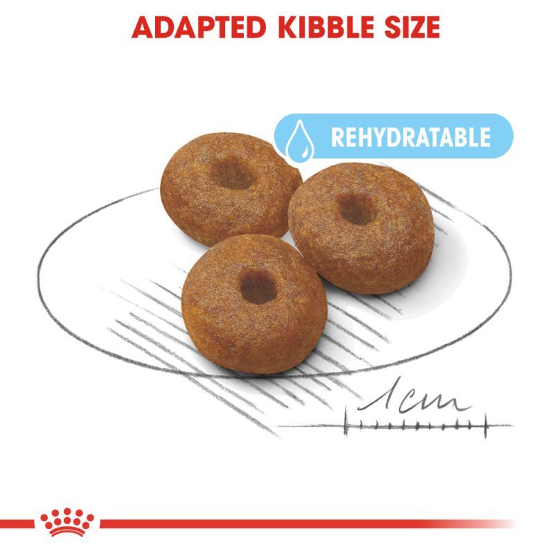 Royal Canin Dog Food | Maxi Starter
