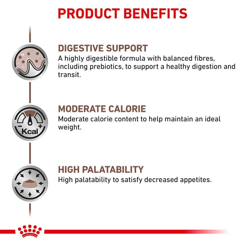 Royal Canin Cat Jelly | Gastro Intestinal 85g