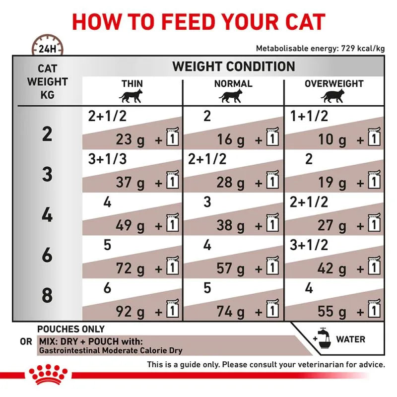 Royal Canin Cat Jelly | Gastro Intestinal 85g