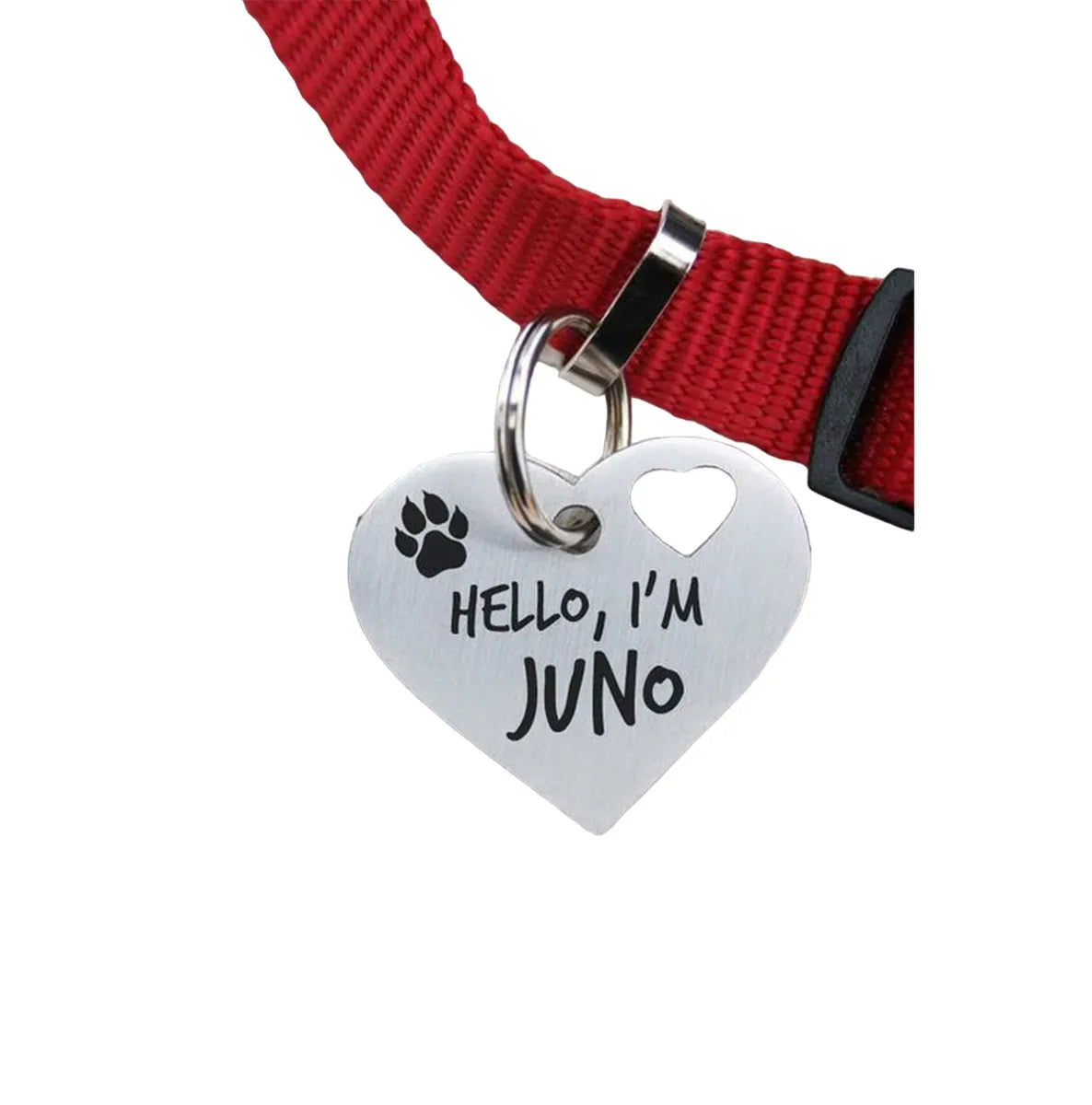 Personalized Pets Identification Id Tag | Heart Shape