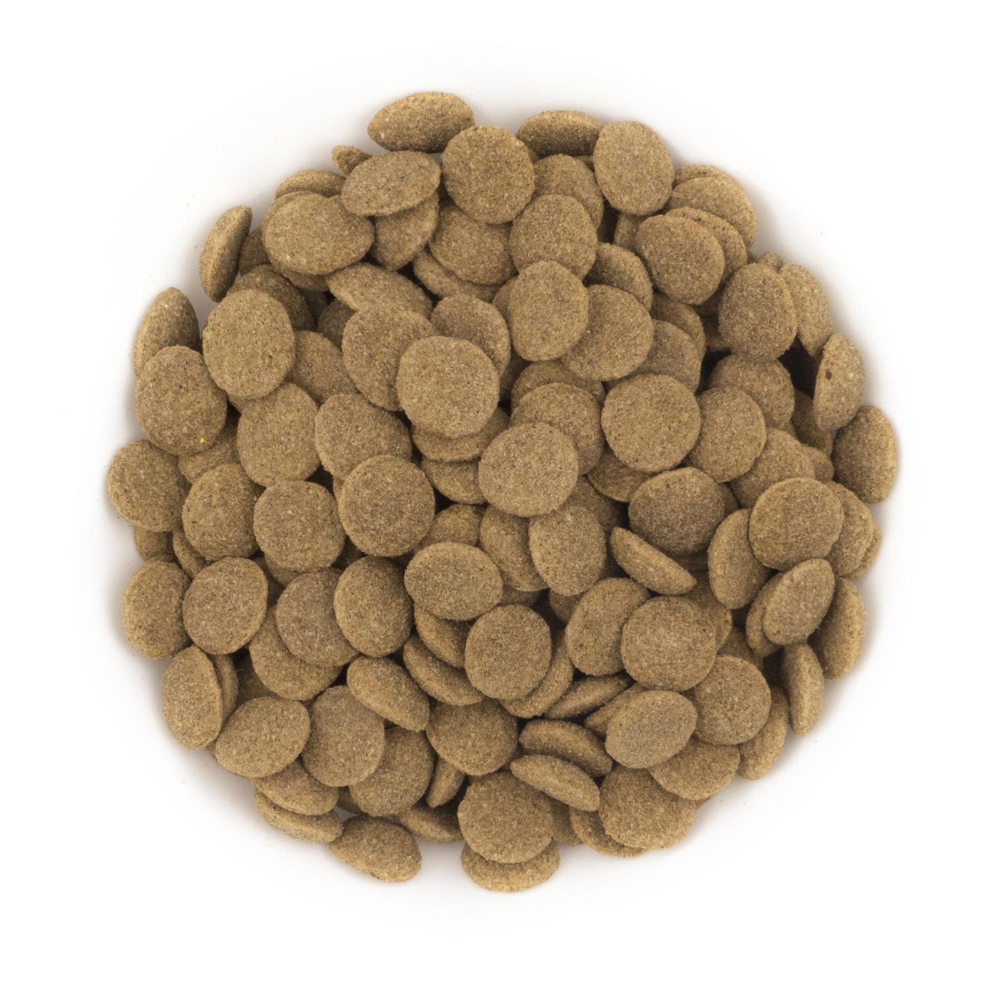 Petcool Dog food | Daily Fresh