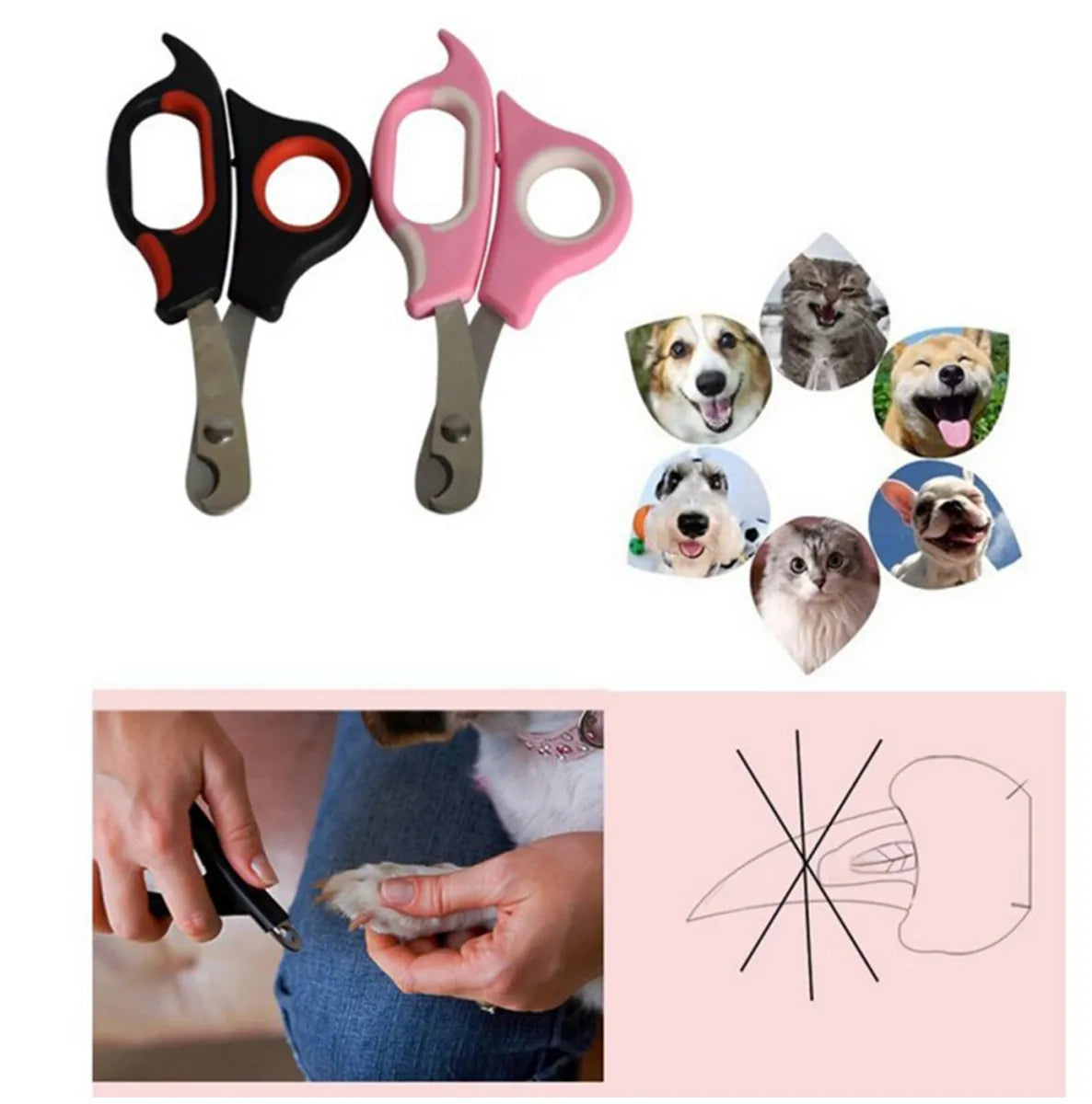 Pets Nail Clipper Trimmer | For All Small & Medium Pets