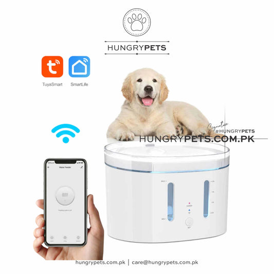 Pet Water Fountain - Smart 2.4GHz Automatic Water Fountain for Small Cats and Dogs with Water Filter, 2L