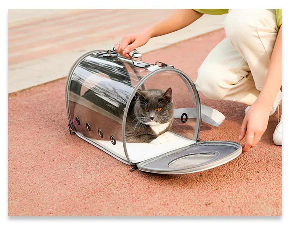 Transparent Pet Backpack Outdoor Travel Portable Shoulder Bag