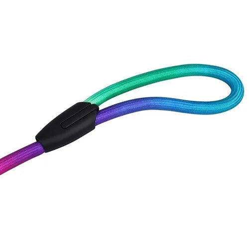 Rainbow Walking Leash For Puppy & Dog