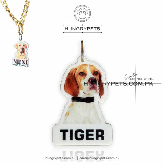 Tag, ID Personalized Pets Identification Id Tag | (HD Printed) , English Pointer