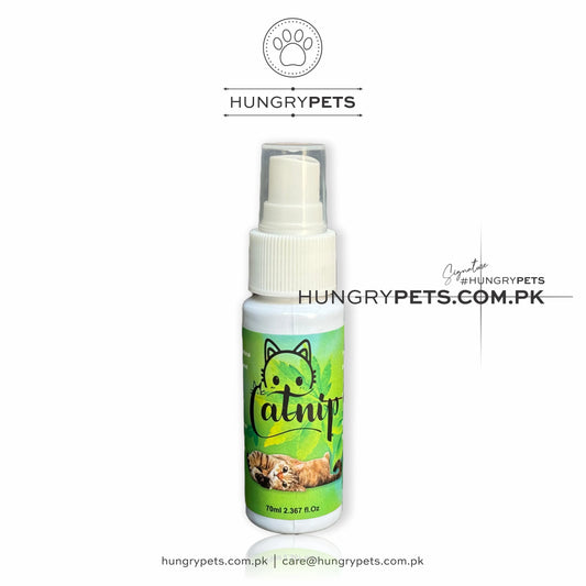 Catnip Spray |  Best for cat & Kitten
