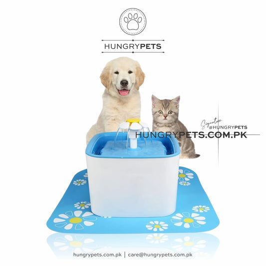 Pet Water Fountain 2.5L Cube Electric Water Fountain