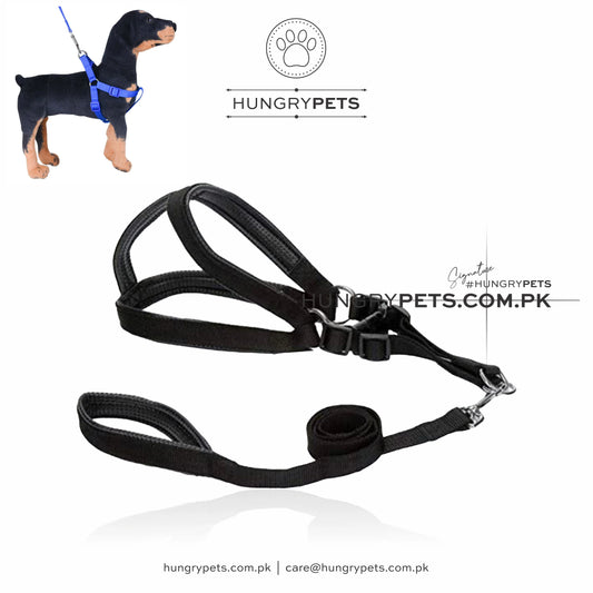 Pet Harness with Handle for Outdoor Walking Adjustable