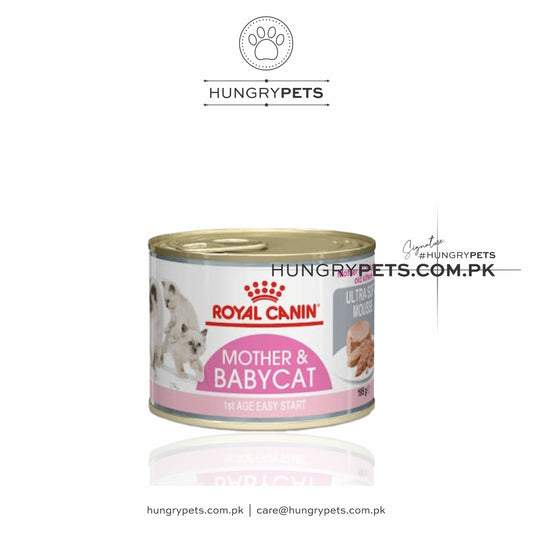 Royal Canin Cat Jelly Tin | Kitten 195g