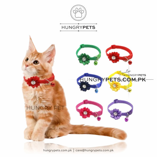 Pet Collar Adjustable Flower Bell