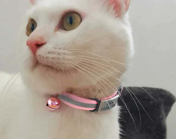 Personalized Pets Identification Id Tag | Silicone Stainless Steel