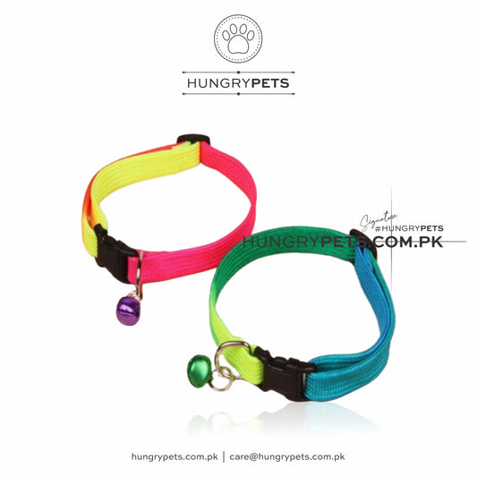 Rainbow Collar With Bell Adjustable