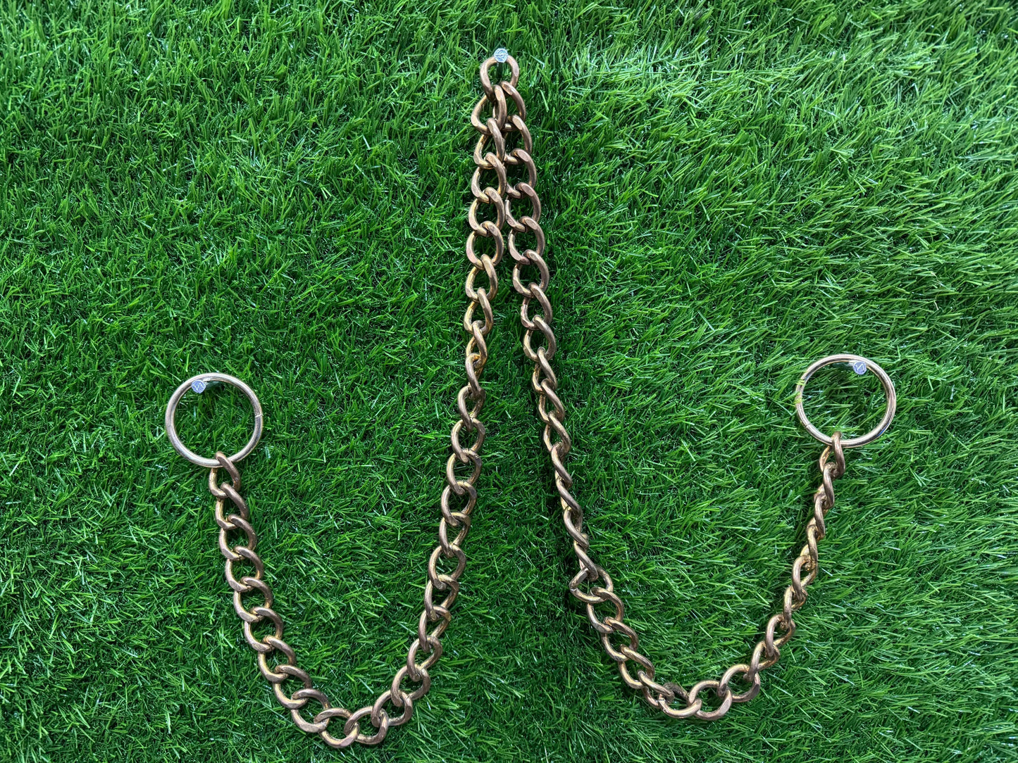 Snake Choke Chain | For Heavy Dogs | 3 Feet