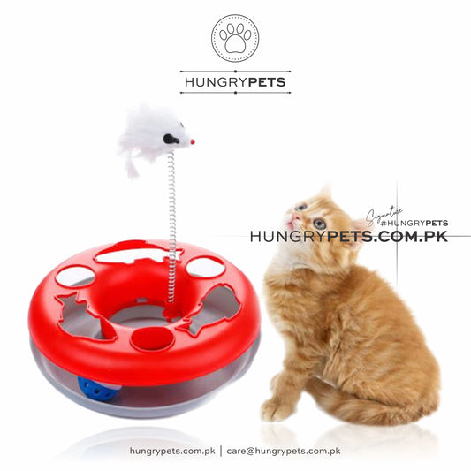 Pet Cat Moving Mouse Spring Play Ball Turntable Round Disk Training Interactive Toy