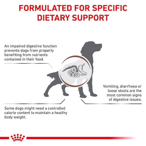 Royal Canin Dog Food | Adult - Gastrointestinal