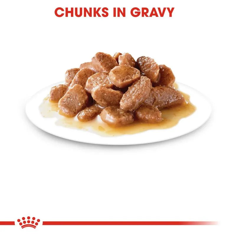 Royal Canin Cat Jelly | Hairball Care 85g