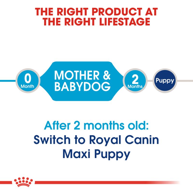 Royal Canin Dog Food | Maxi Starter