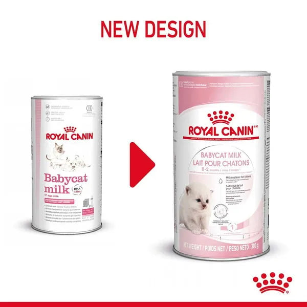 Royal Canin Milk Replacer | For Kitten 300g