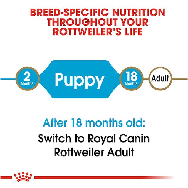 Royal Canin Dog Food | Rottweiler Puppy